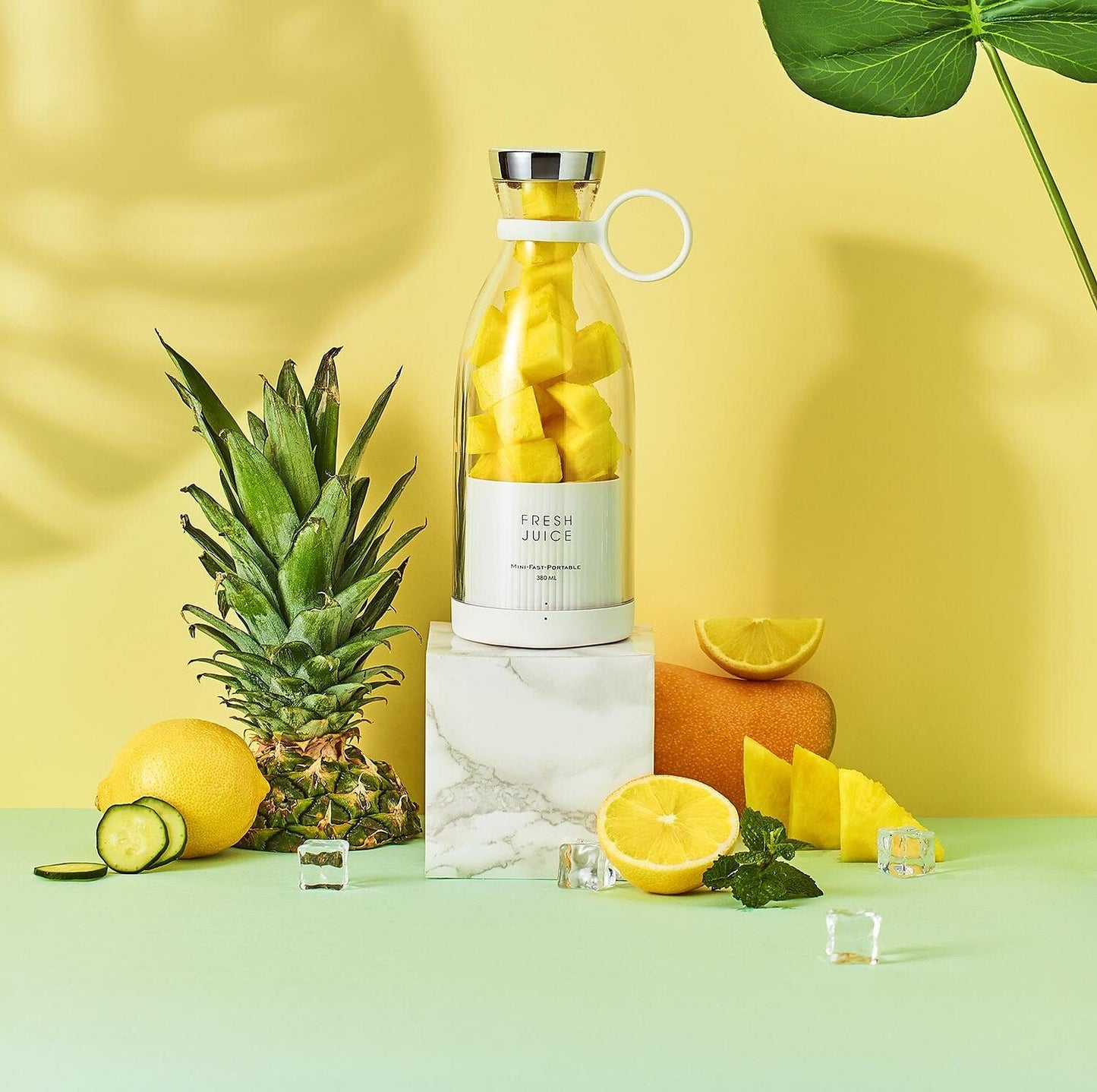 claryves Blender Bottle